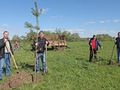 Миниатюра для версии от 14:47, 17 мая 2016
