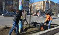 Миниатюра для версии от 17:15, 14 декабря 2014