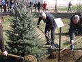 Миниатюра для версии от 16:39, 28 апреля 2015