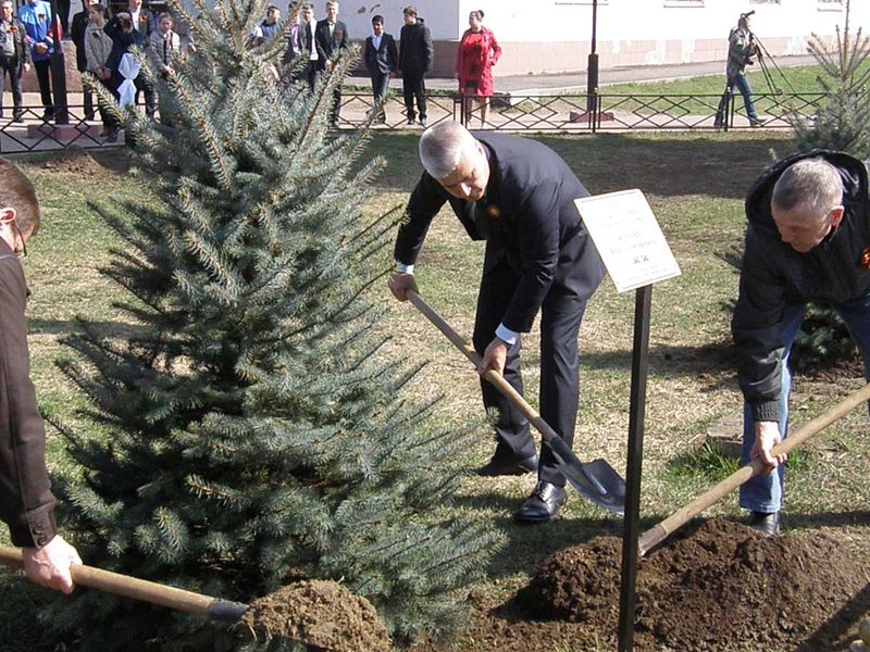 Файл:9cc80bdd7eb82cd2112a69a0fbb7390a.jpeg
