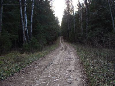 AL048-02.jpg