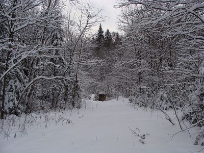AL048-03.jpg