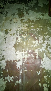 AL040-05.jpg
