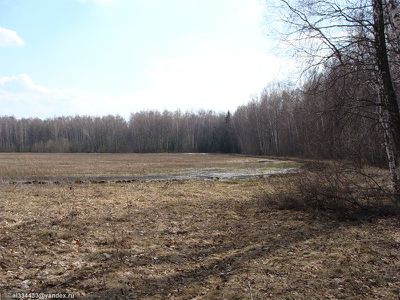 AL043-10.jpg