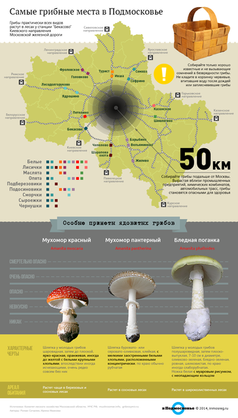 Файл:8485d8c2aee662472580f0b8995b9460.png
