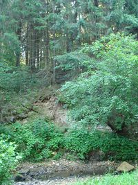 AL056-05.jpg