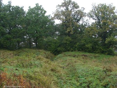 AL054-04.jpg