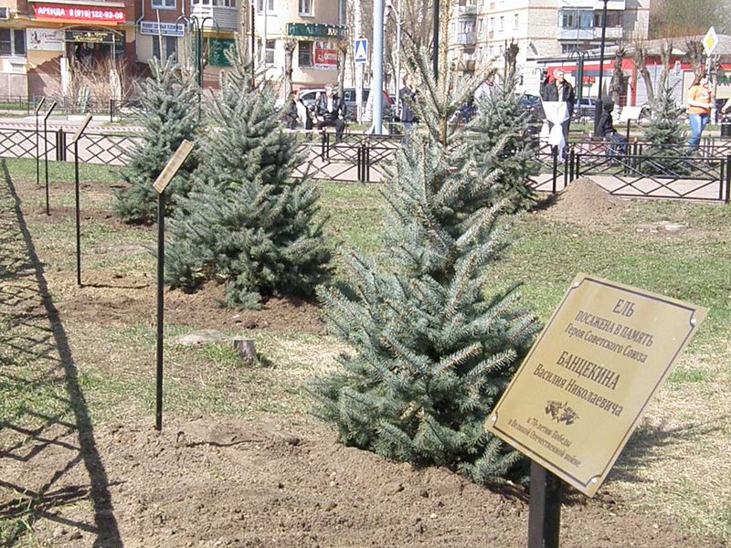 Файл:C5be8dfa76e5922f5771cd0356edb894.jpeg
