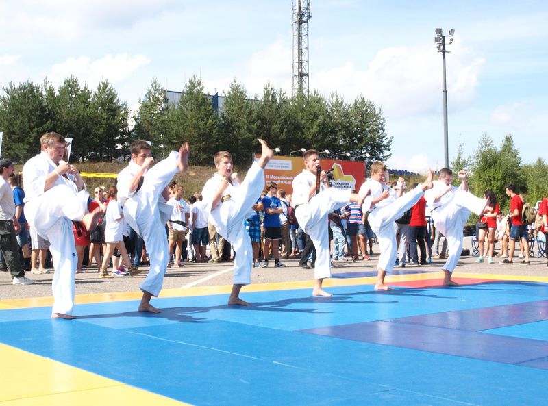 Файл:D6791b2d01971e27b3d461b3722291ec.jpeg