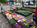 Миниатюра для версии от 02:46, 13 декабря 2014