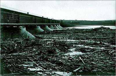 AL014-03.jpg