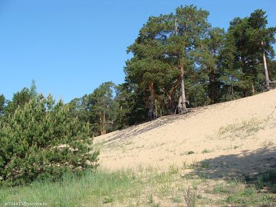 AL008-08.jpg