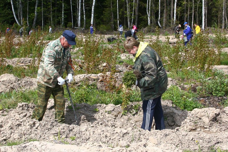 Файл:E7b30448f783442a8074faef8f74a330.jpeg