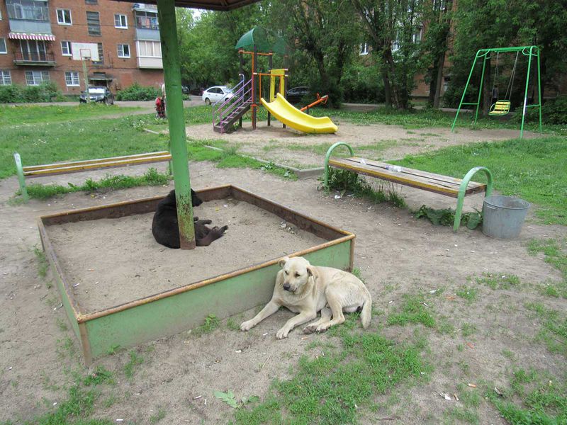 Файл:B5ab5d7010c3d83e1e5f8622718ffbb5.jpeg