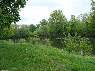 AL040-02.jpg