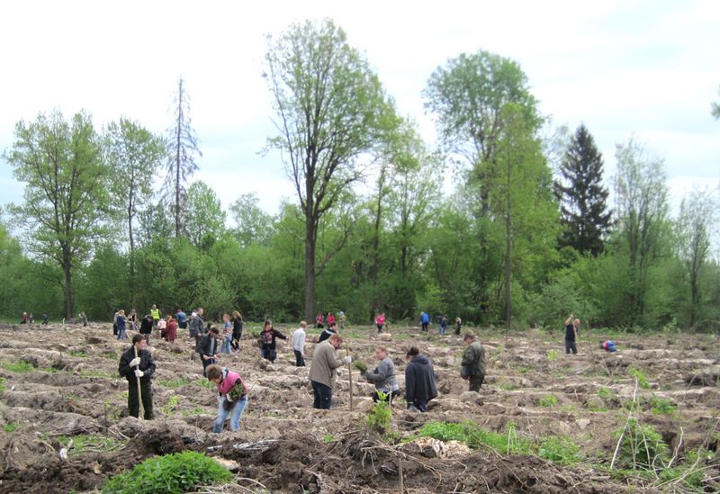 Файл:1b28dd02f36286e8535da32371832675.jpeg