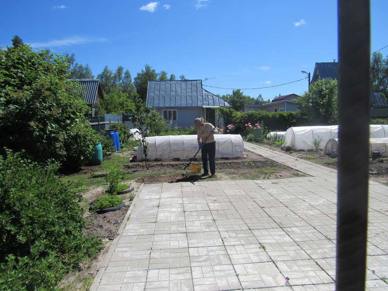 Файл:C6e3400ad2504a211668ac80c2ef5f8d.jpeg