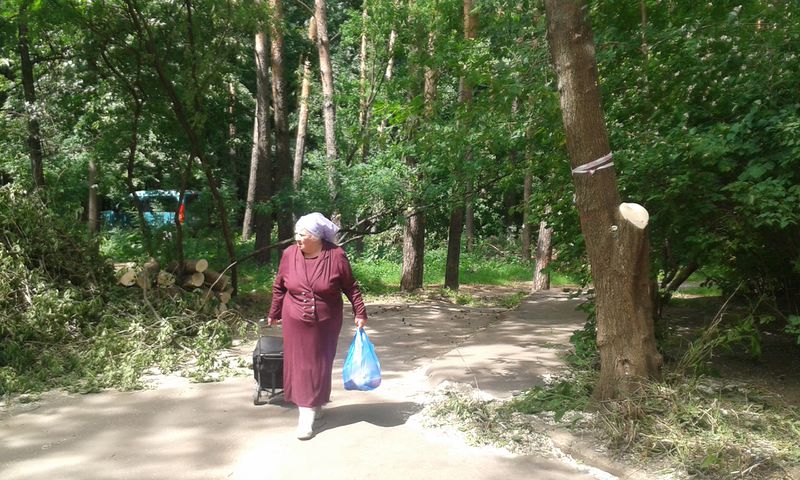 Файл:A3390f4b460bbf3486b80e3f21794084.jpeg