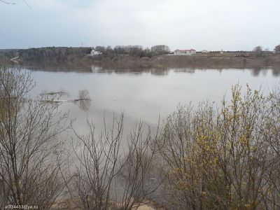 AL022-03.jpg