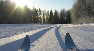 981216df018d635a401b2ad98ff36121.jpeg