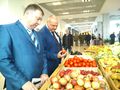 Миниатюра для версии от 23:50, 13 декабря 2014