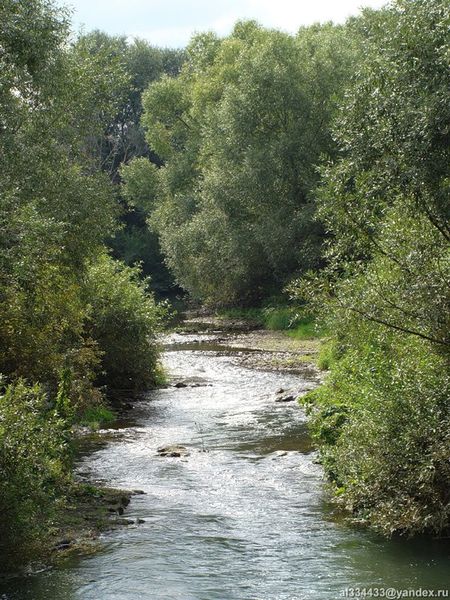 Файл:AL004-14.jpg