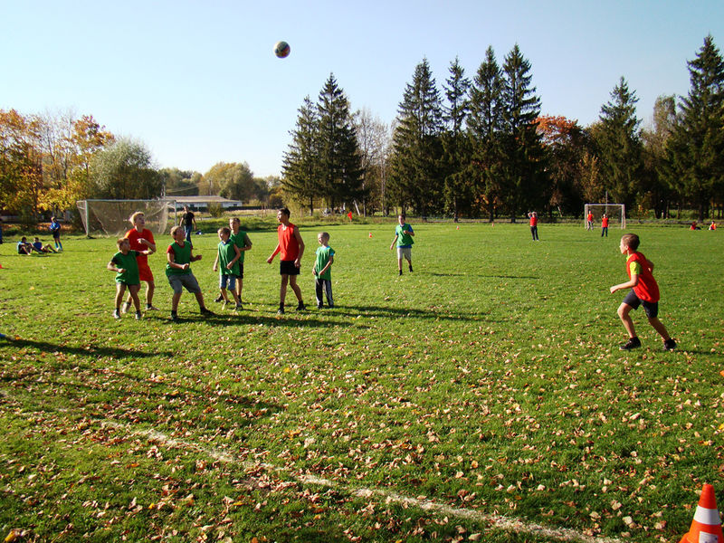 Файл:0977df7ea951444fa626a2829c0a5687.jpeg