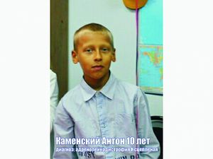2282af1b815326daf158ea9d8774dc5a.jpeg
