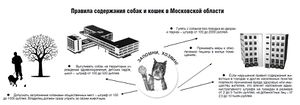 739f431302b51f78c33d1ec4a89680ce.jpeg