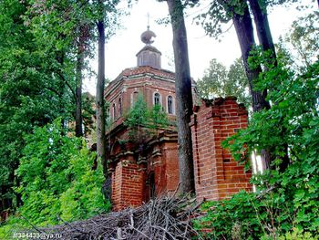 AL003-01.jpg