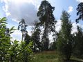Миниатюра для версии от 02:46, 13 декабря 2014