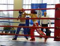 Миниатюра для версии от 17:20, 22 декабря 2014