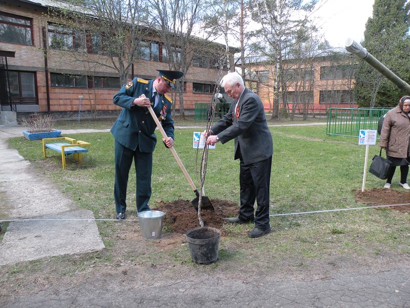 Файл:6cea2f552d04fccea3086811ea4c97ac.jpeg