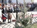 Миниатюра для версии от 16:39, 28 апреля 2015