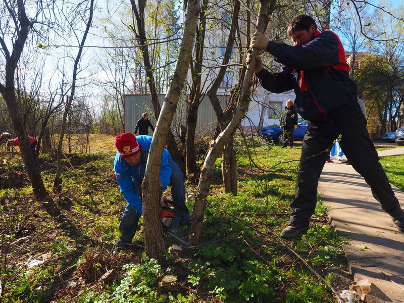 Файл:1f14486b151684d6d20b8b047c291412.jpeg