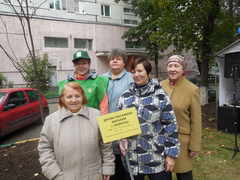 Файл:7a3d12b2f9ef607eb30fbfdb67822abe.jpeg