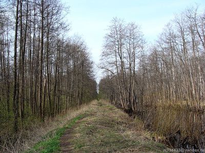 AL015-17.jpg