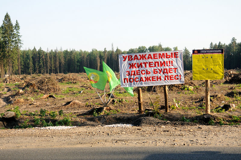 Файл:32c47edcfc092d2d35953ad09ca54141.jpeg