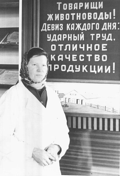 Файл:АПК Шатурское.jpg