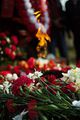 Миниатюра для версии от 17:05, 14 декабря 2014