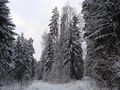 Миниатюра для версии от 18:11, 9 января 2015