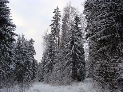 AL048-09.jpg