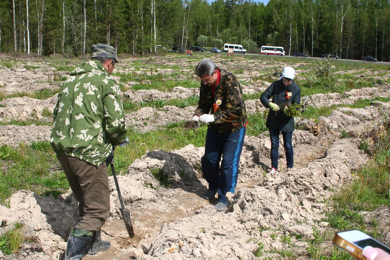 Файл:08565cc5e07558161dd0a31c17e877d1.jpeg
