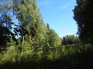 8cae3306b0d13134c4388119b066ba58.jpeg