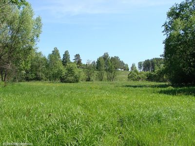 AL038-08.jpg