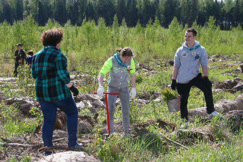 Файл:Dcfb5376e55752adcbbc29b6859ea863.jpeg