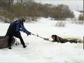 Миниатюра для версии от 05:05, 12 февраля 2015