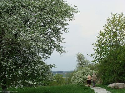 AL042-06.jpg