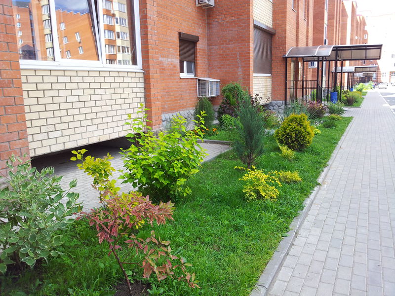 Файл:52a62f241fbfbc5d70181a9fd25551d2.jpeg