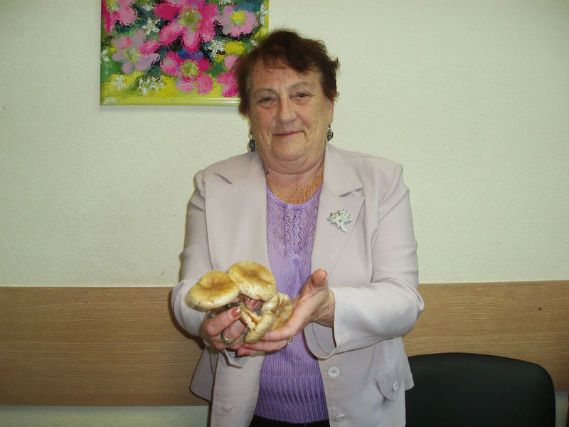 Файл:Db38014d69588464db61ac20ae5a5804.jpeg